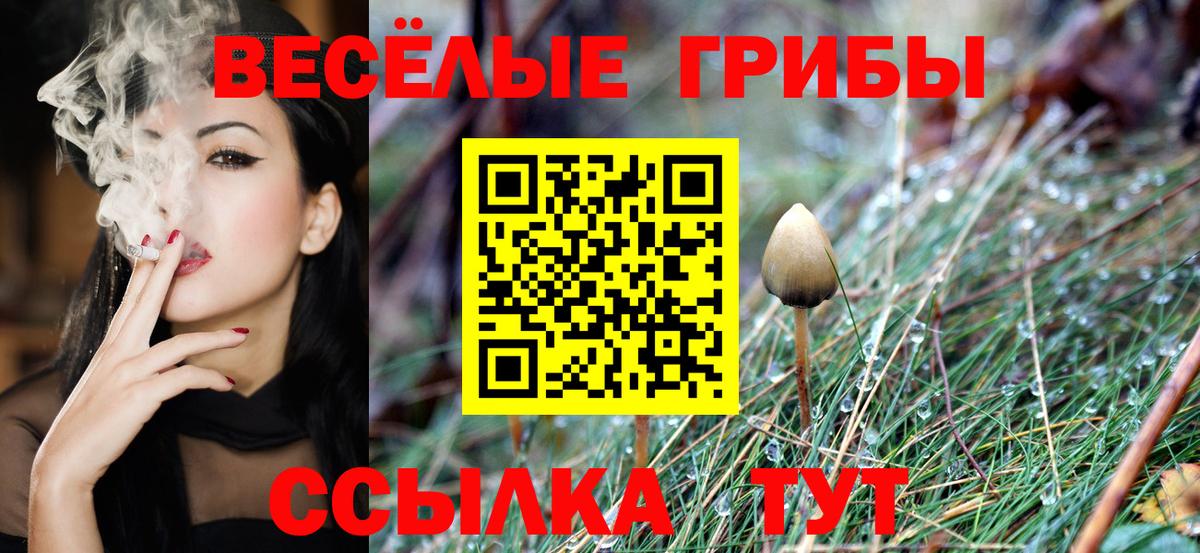 Псилоцибиновые грибы Psilocybe  Галлюциногенные грибы MAGIC MUSHROOMS  Мегион  Вход с VPN 